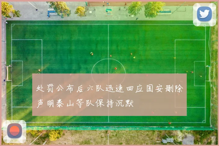 处罚公布后六队迅速回应国安删除声明泰山等队保持沉默